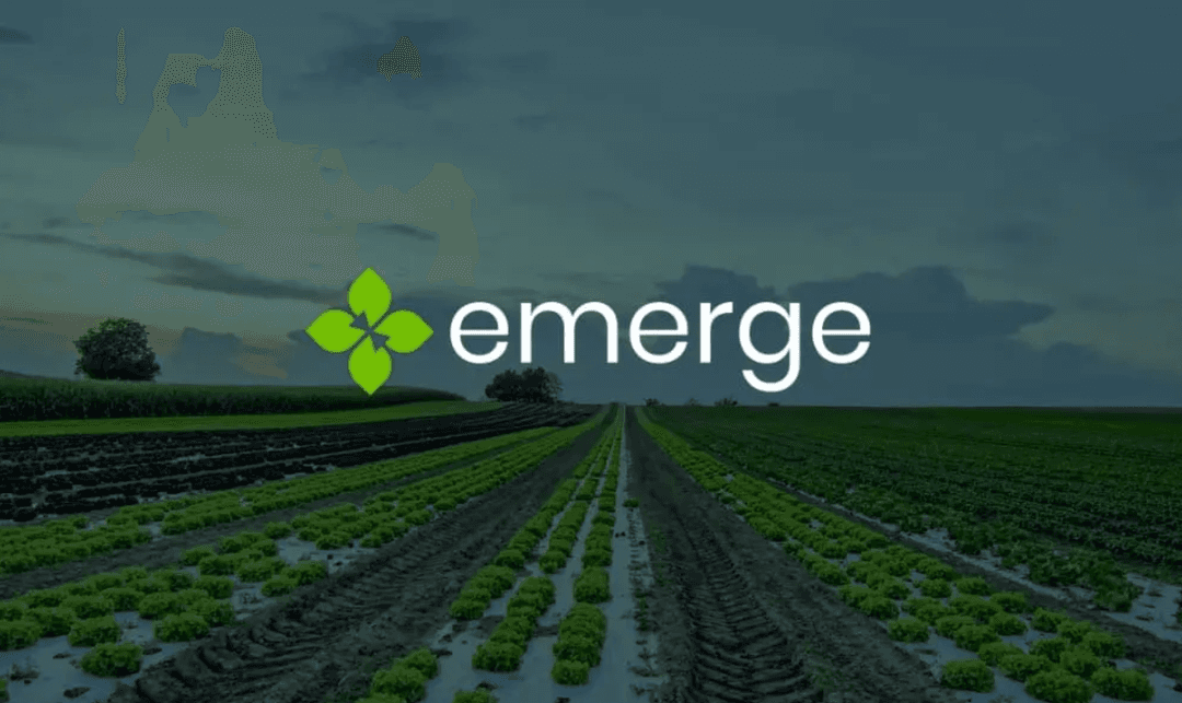 thumbnail of Emerge Farms project