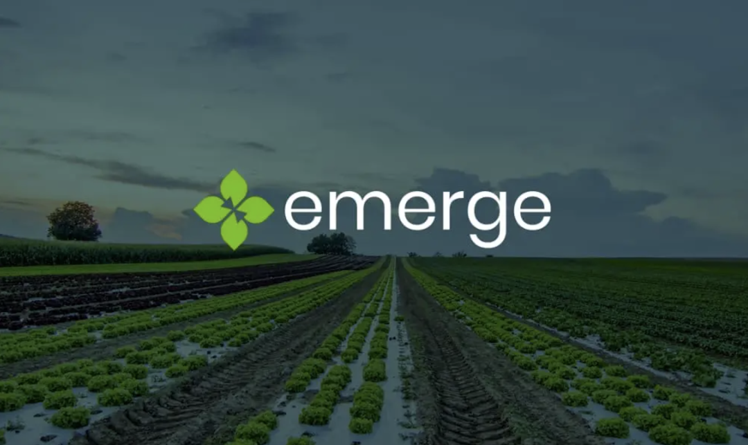 thumbnail of Emerge Farms project